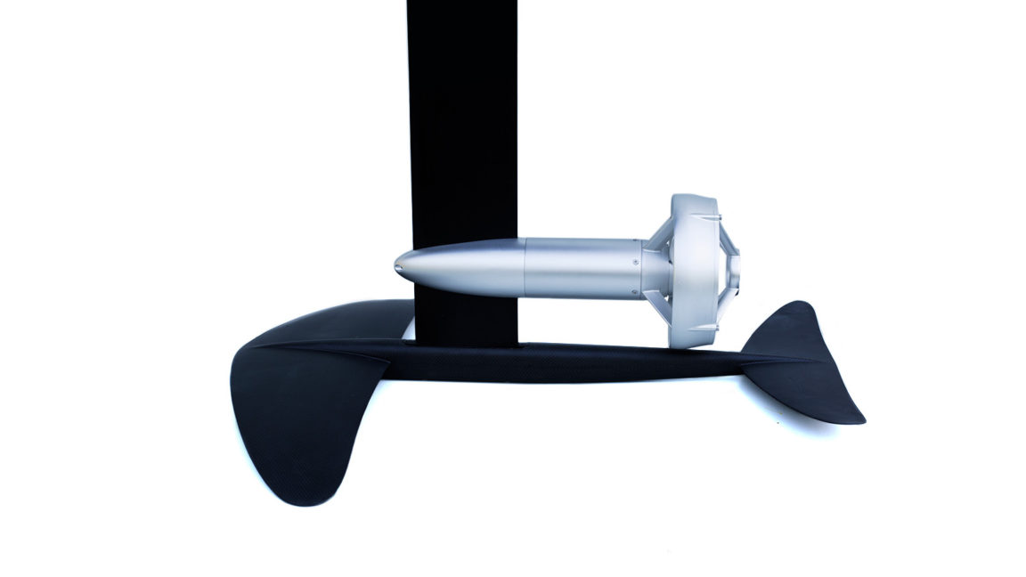 Electric Foil Board EvNerds