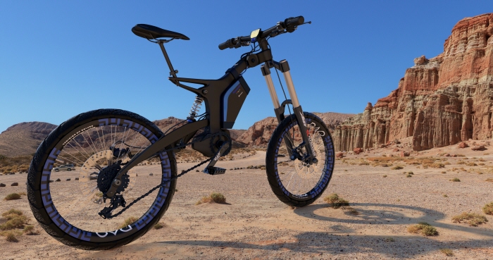 custom ebike